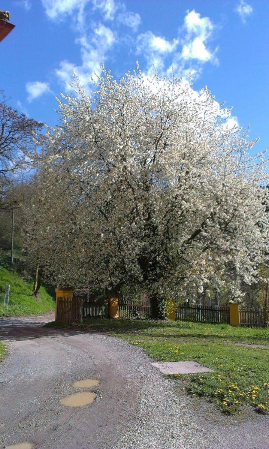 Ferienwohnung Ottmanach Josefhof Pischeldorf Exteriér fotografie
