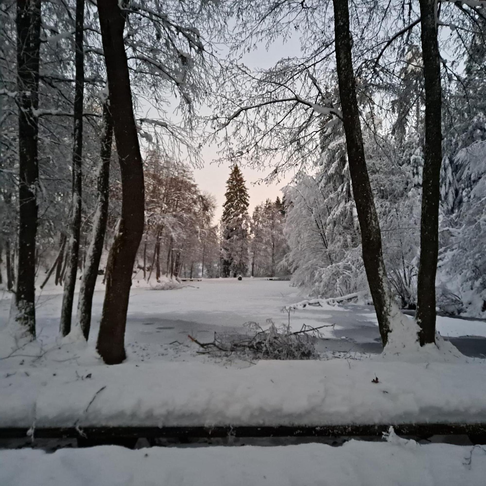Ferienwohnung Ottmanach Josefhof Pischeldorf Exteriér fotografie