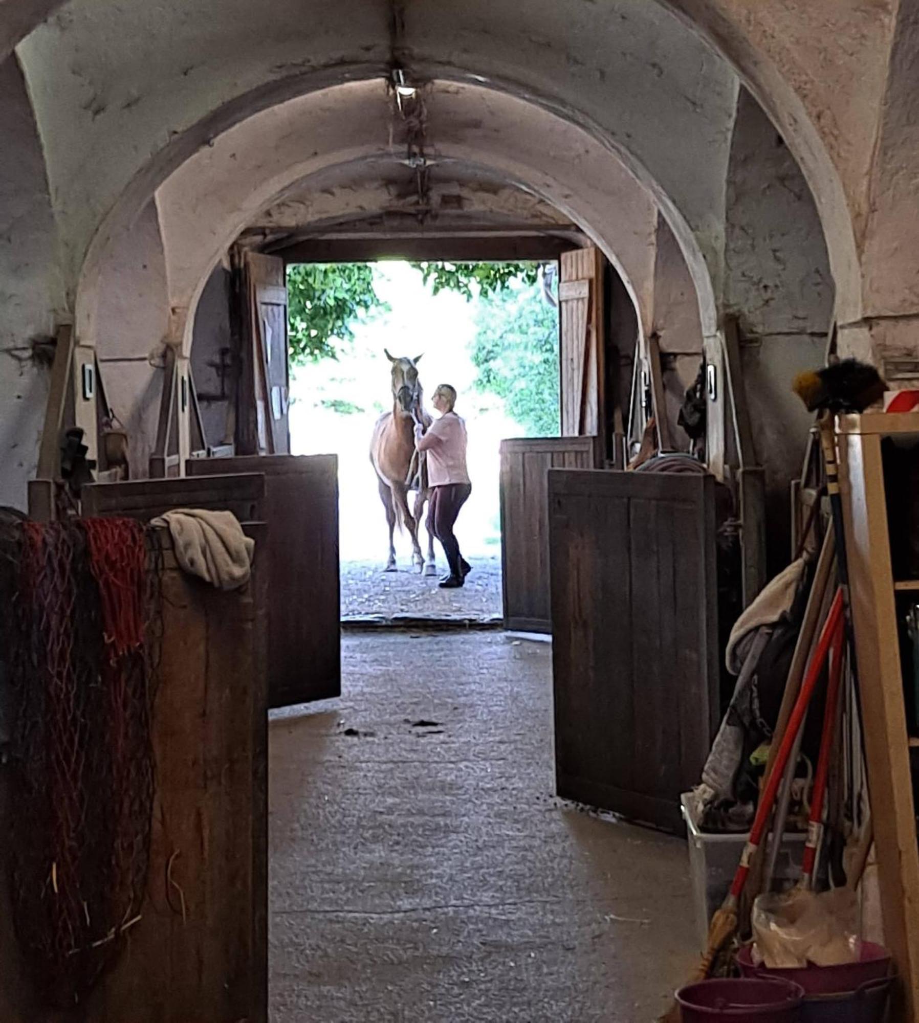 Ferienwohnung Ottmanach Josefhof Pischeldorf Exteriér fotografie