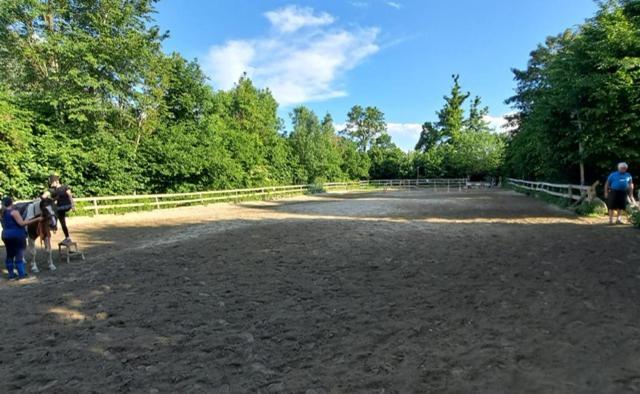 Ferienwohnung Ottmanach Josefhof Pischeldorf Exteriér fotografie