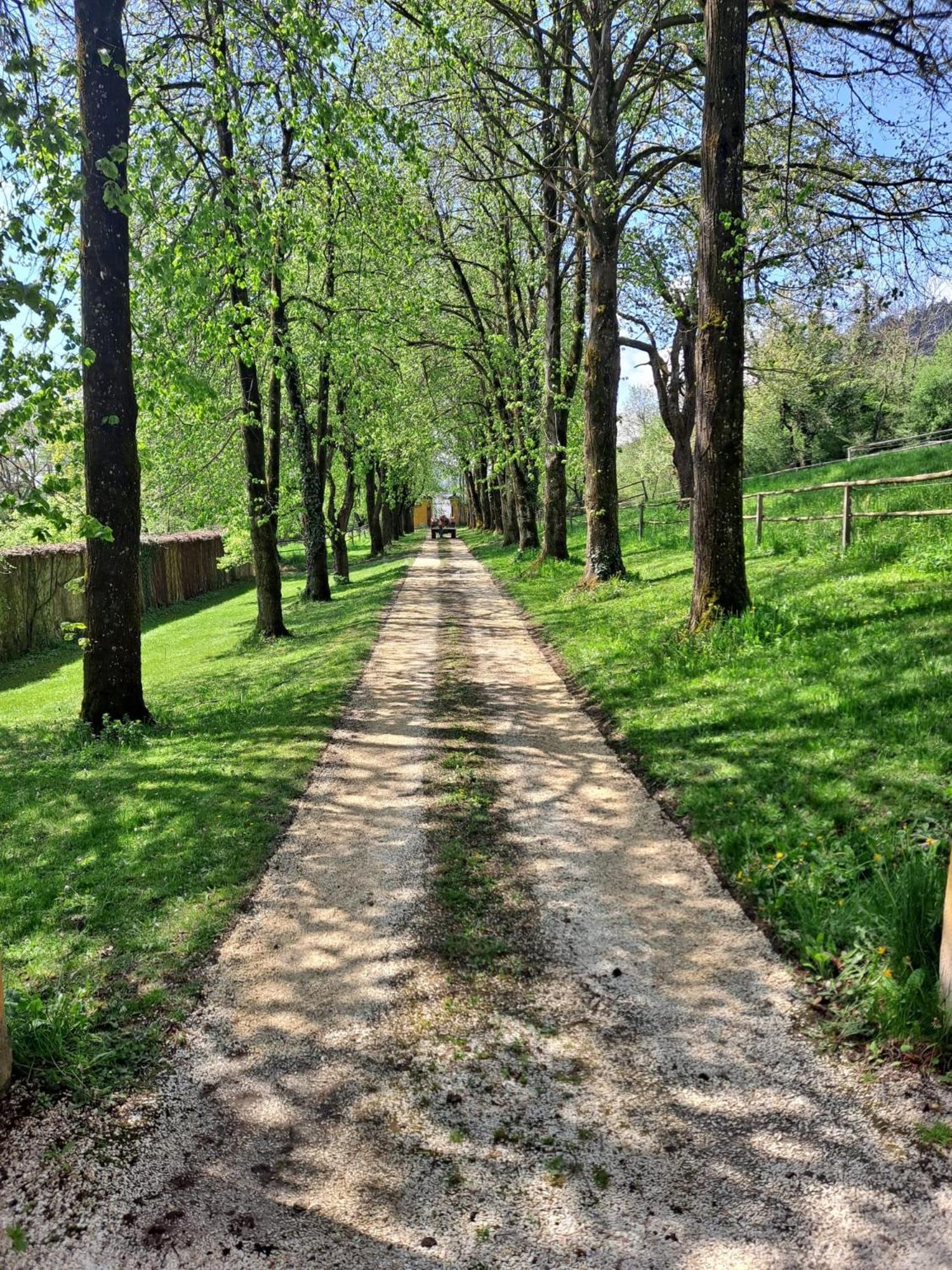 Ferienwohnung Ottmanach Josefhof Pischeldorf Exteriér fotografie